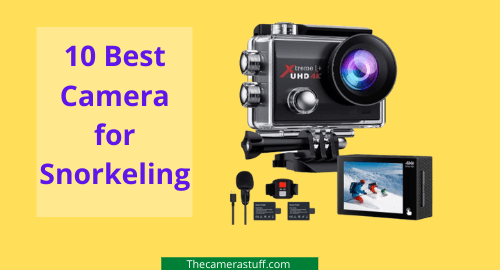 10 Best Camera for Snorkeling