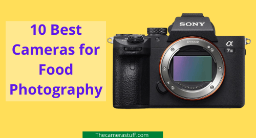 10 Best Cameras for Food Photography