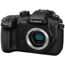 Panasonic LUMIX GH5 4K  - Best for Recording Podcasts and Lengthy Interviews